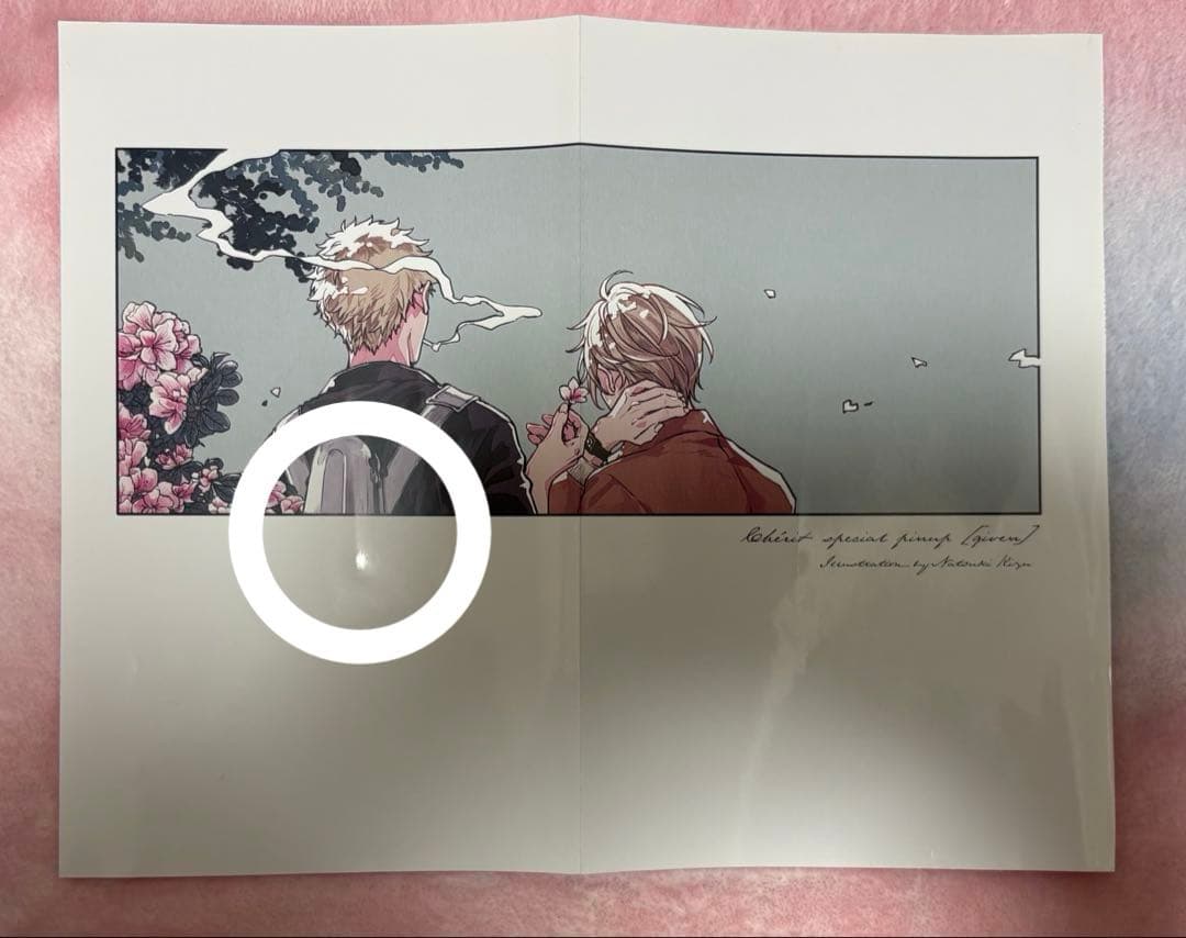 Cheri+ シェリプラス 切り抜き ピンナップ キヅナツキ　ギヴン