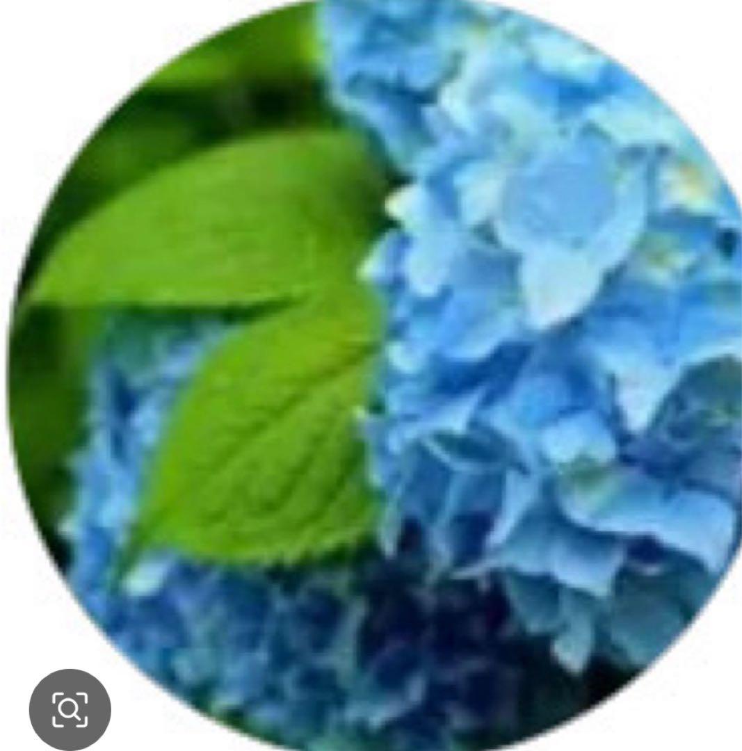 語学・辞書・学習参考書 junbu 1520