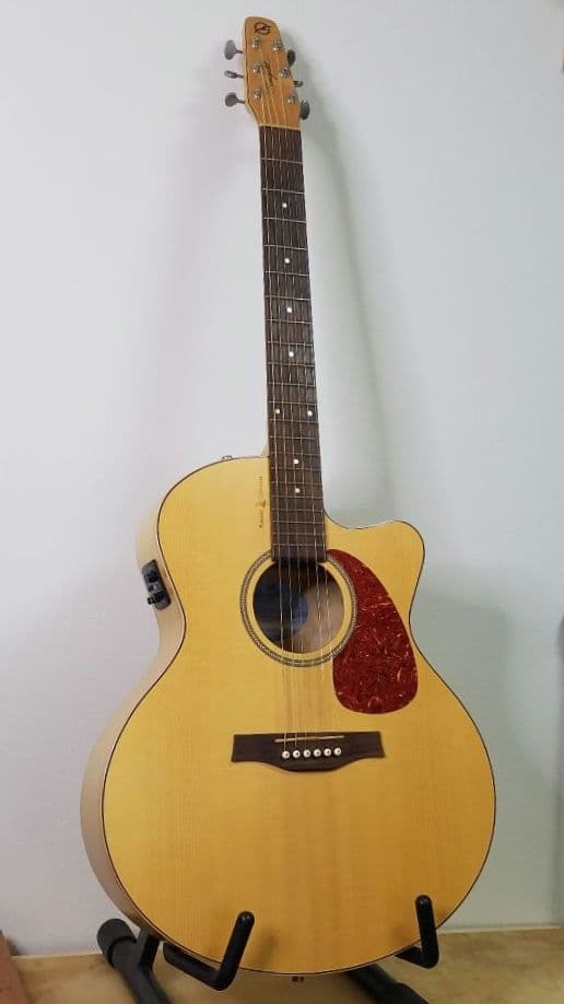 Seagull エレアコ ギター ハードケース入り