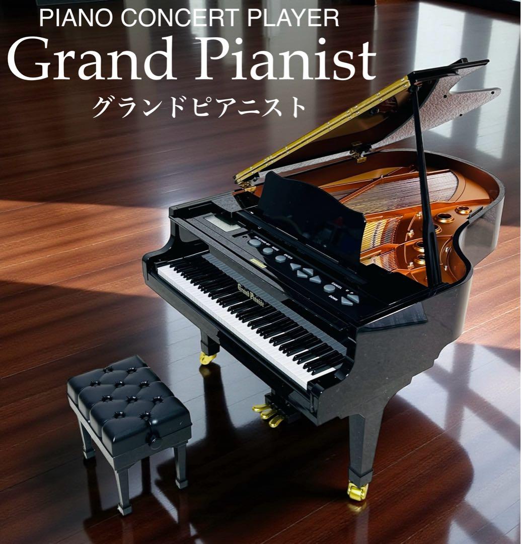 【動作良好】SEGATOYS グランドピアニスト