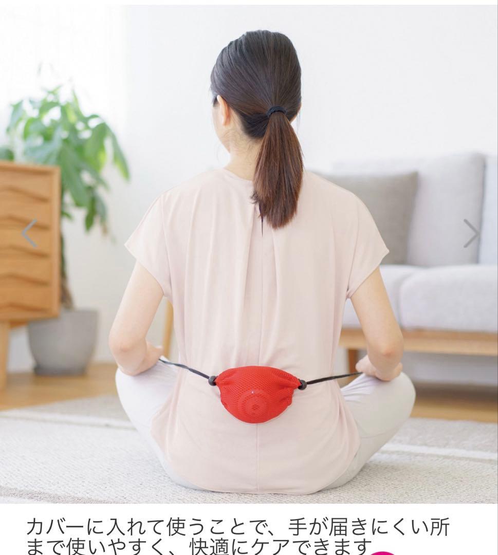 フィットネスクラブが つくった 内ももトレーニング！ スタイリーボール