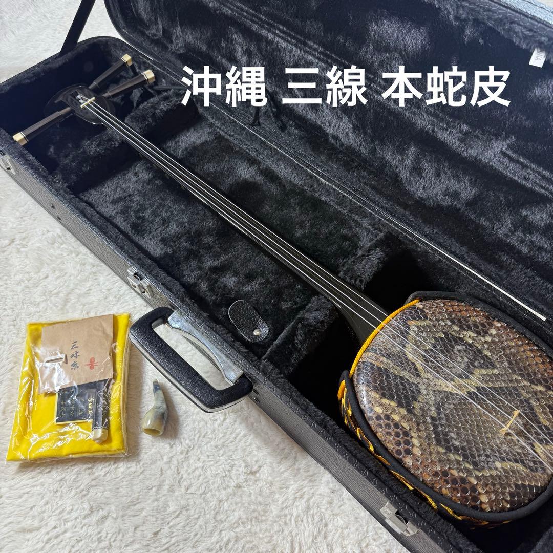 沖縄 三線 本蛇皮 黒漆 三味線 ケース付