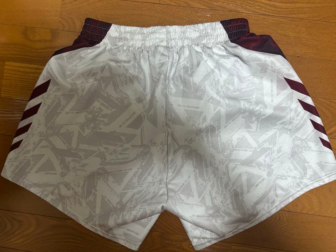 DESCENTE ゲームパンツ 愛知君商品