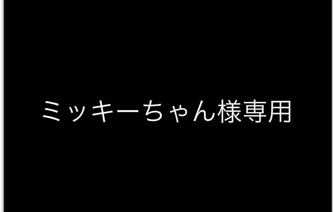 ミッキーちゃん