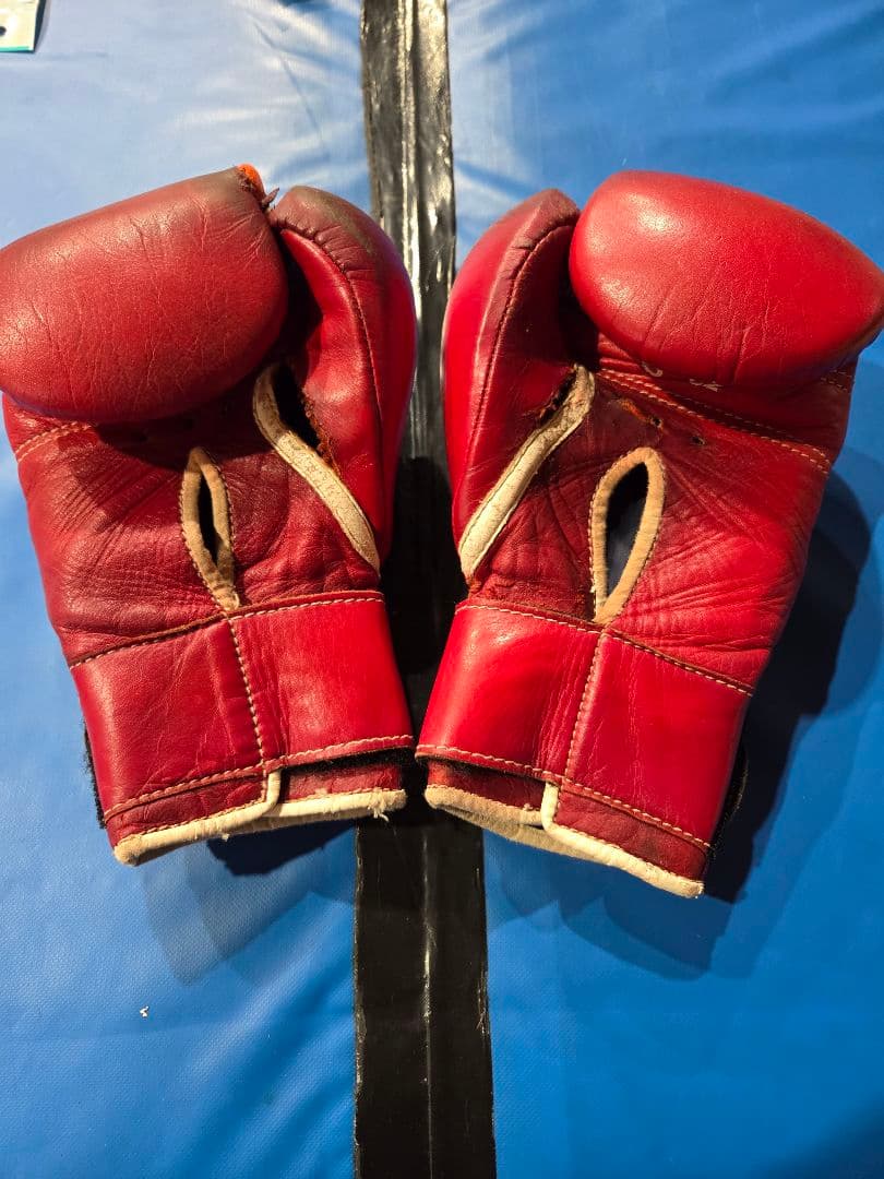 Winning グローブ 8oz赤