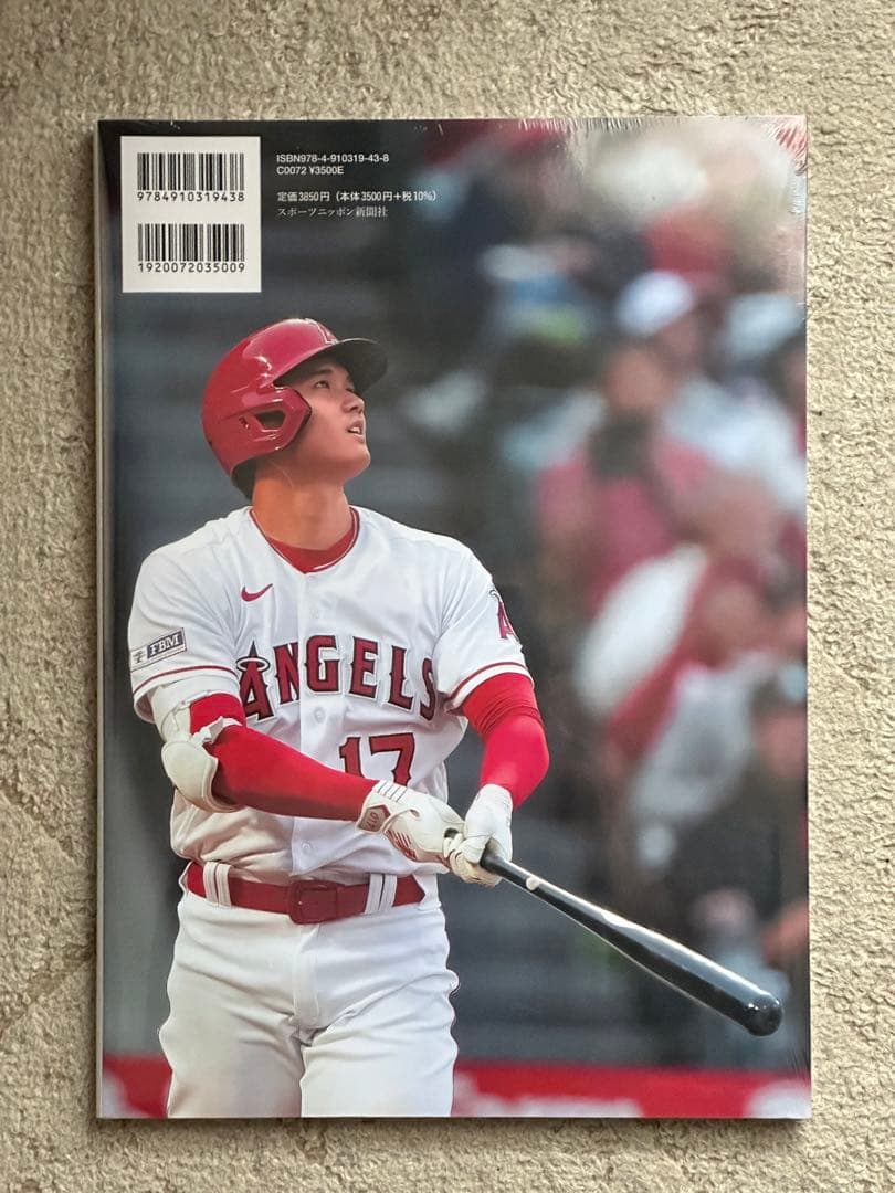 【初版】大谷翔平写真集(タイプAとB)