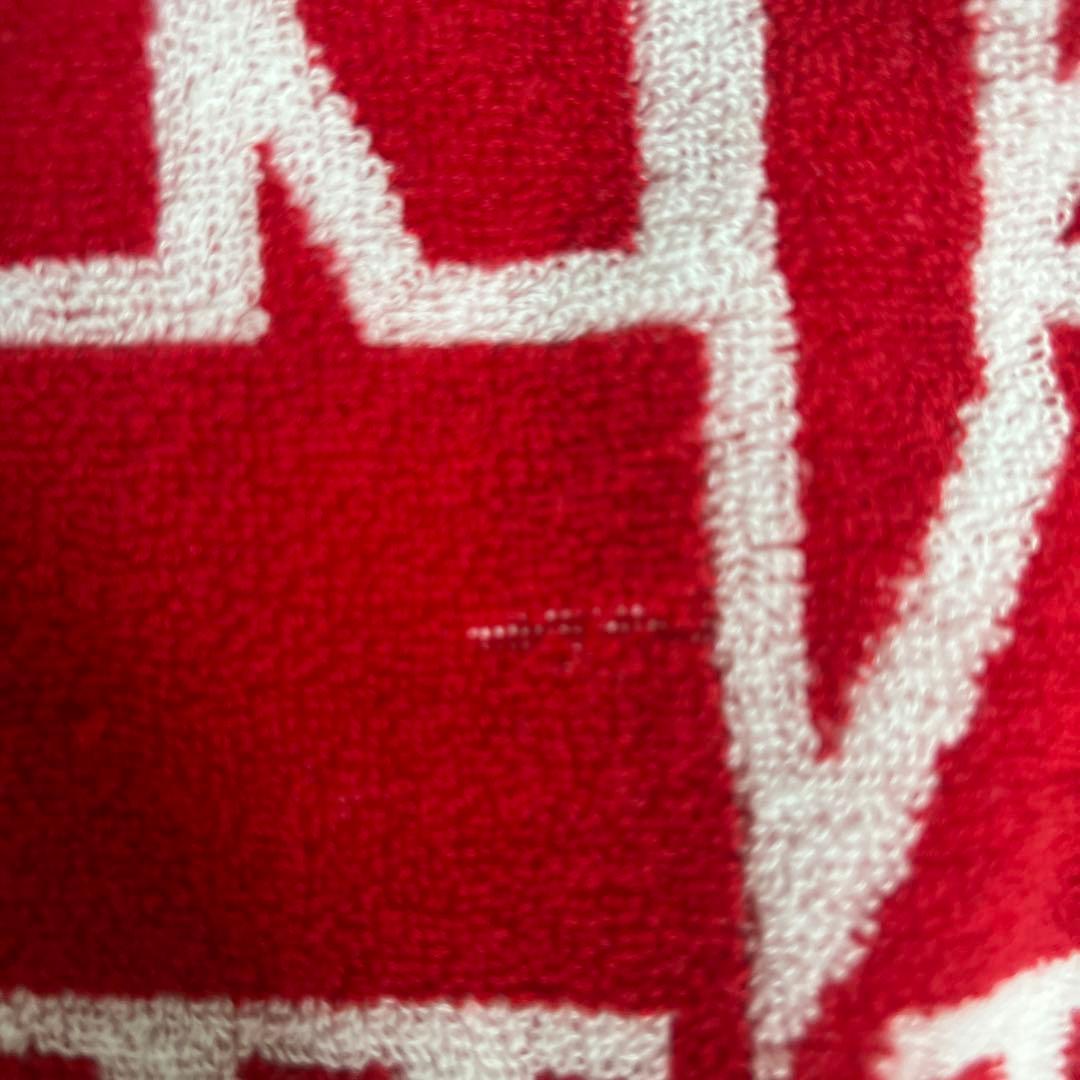 Fantastics 武者修行 タオル