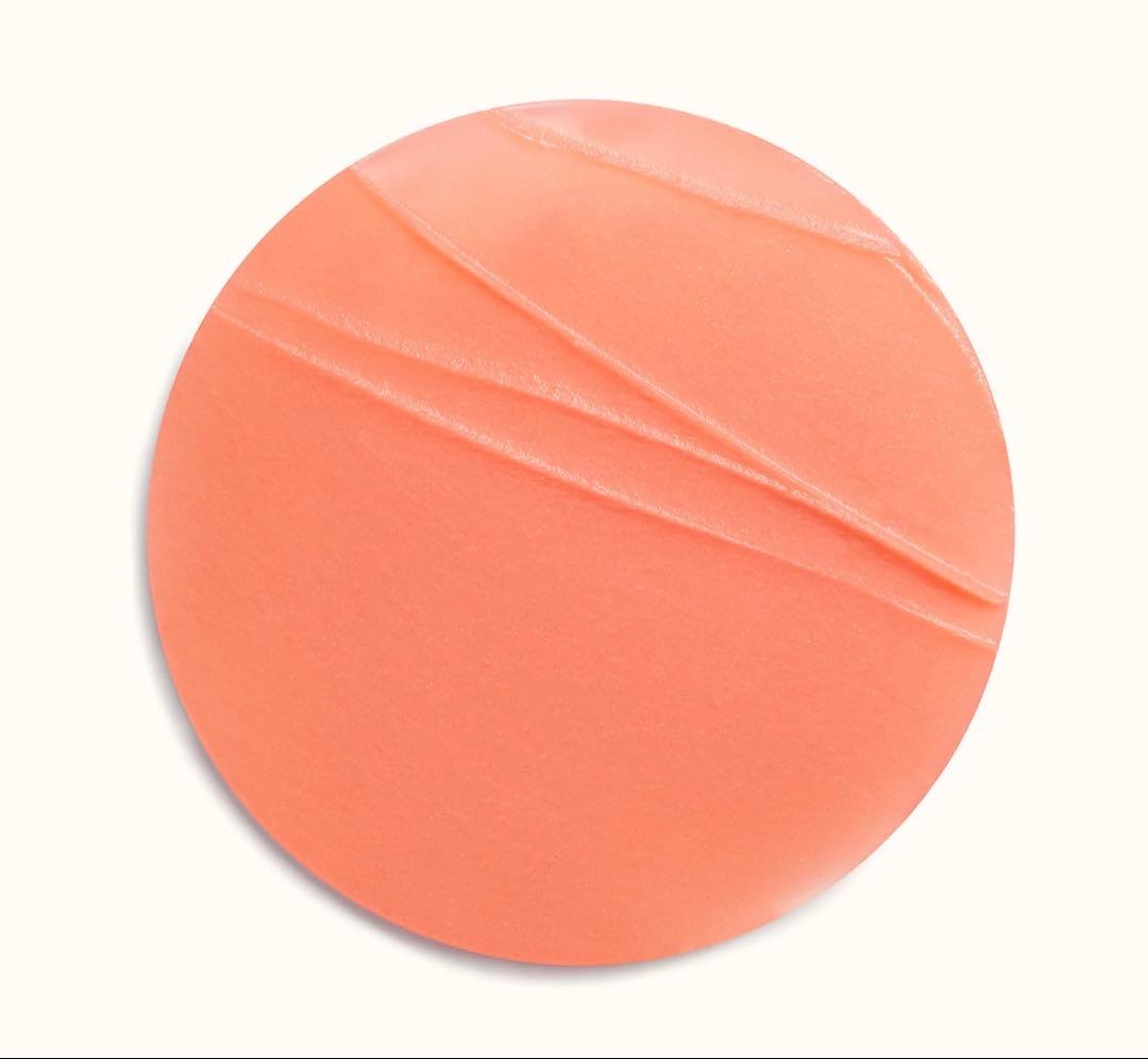 ローズ・エルメス ティンティッドリップバーム マット 14