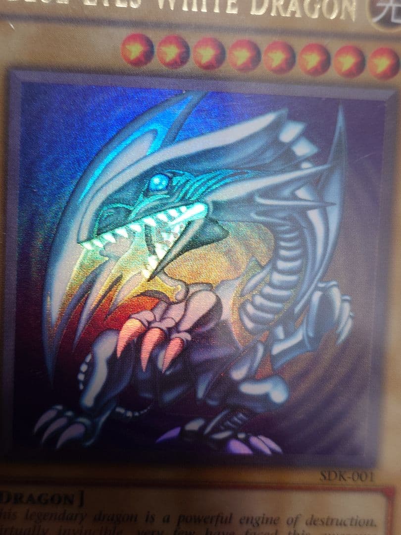 青眼の白龍sdk　全面光沢