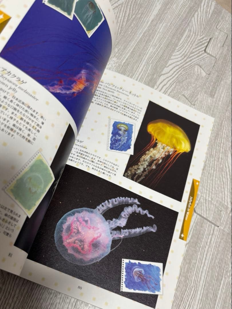 海月姫 公式ガイドブック 絶版 初版 別冊海月姫【稀少品/帯なし】