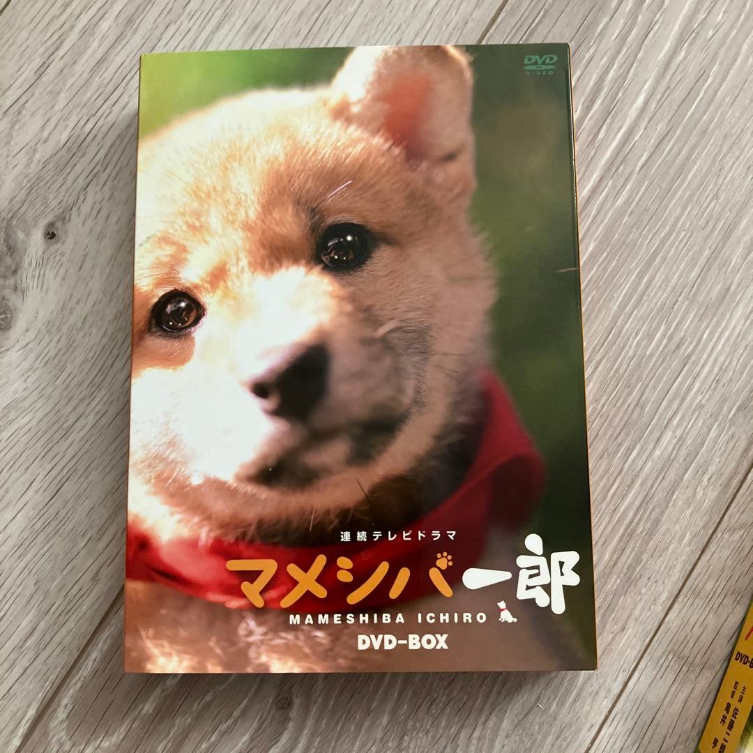 マメシバ一郎・幼獣マメシバ・マメシバ一郎フーテンの芝二郎DVD-BOX 3セット