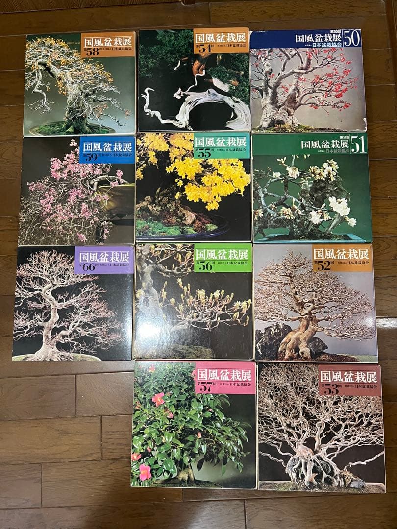国風盆栽展 11巻セット