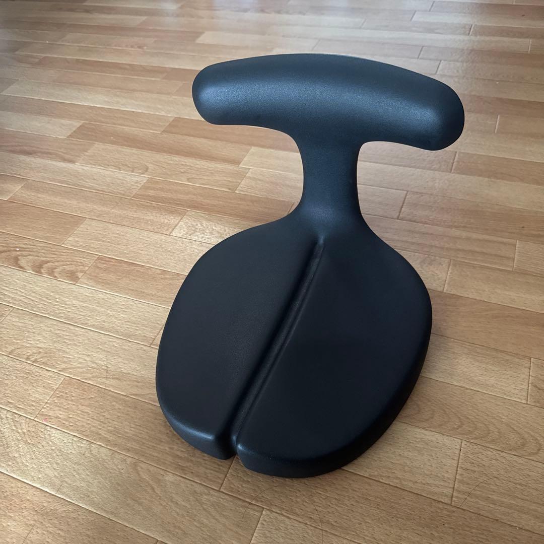 ayur medical seat/アーユルチェア　骨盤・姿勢矯正用 ブラック