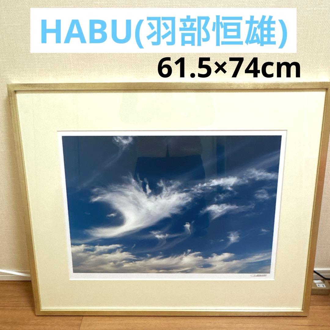 HABU(羽部恒雄) 飛翔する雲 61.5×74cm