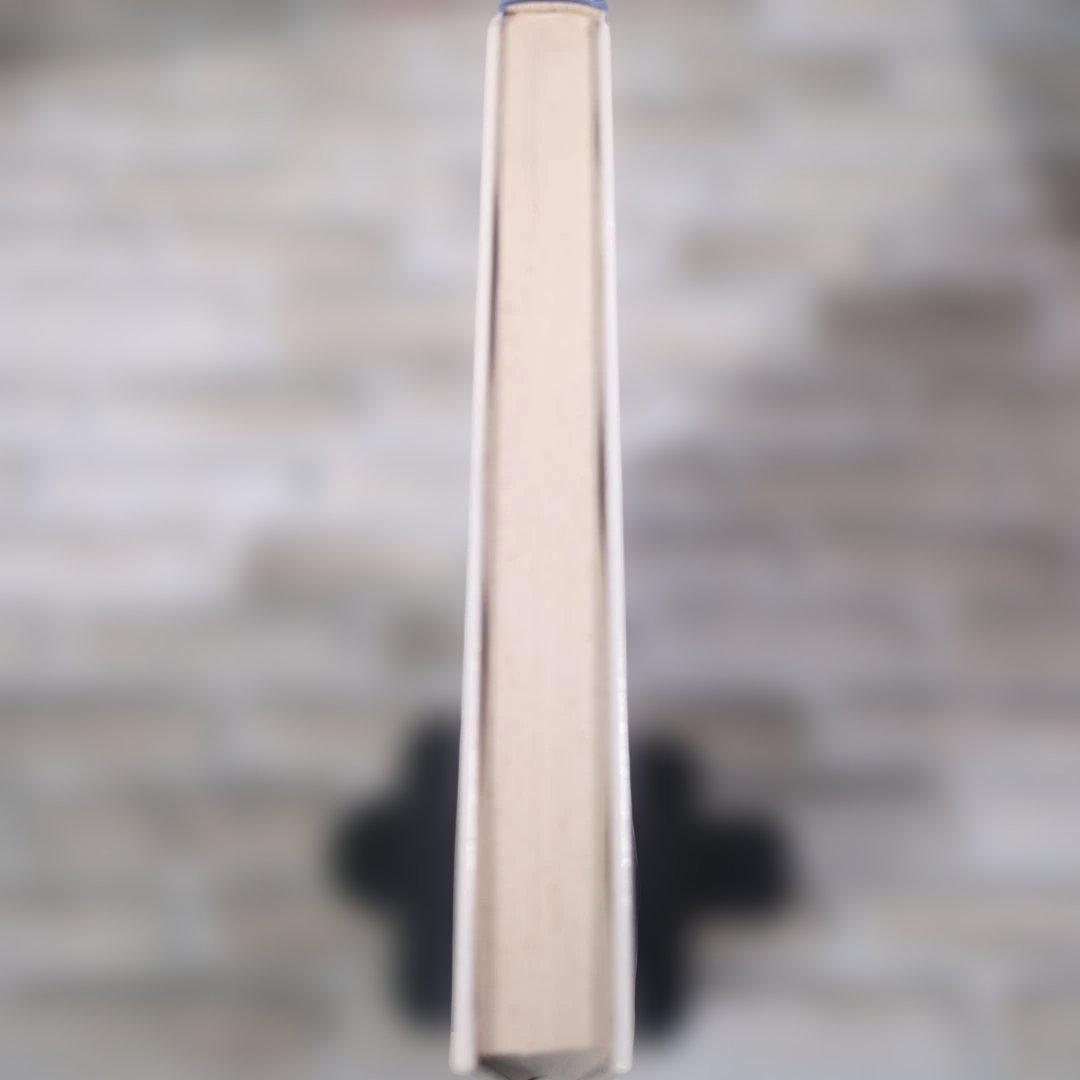 イラストによる 小動物整形外科 手術手技とアプローチ法