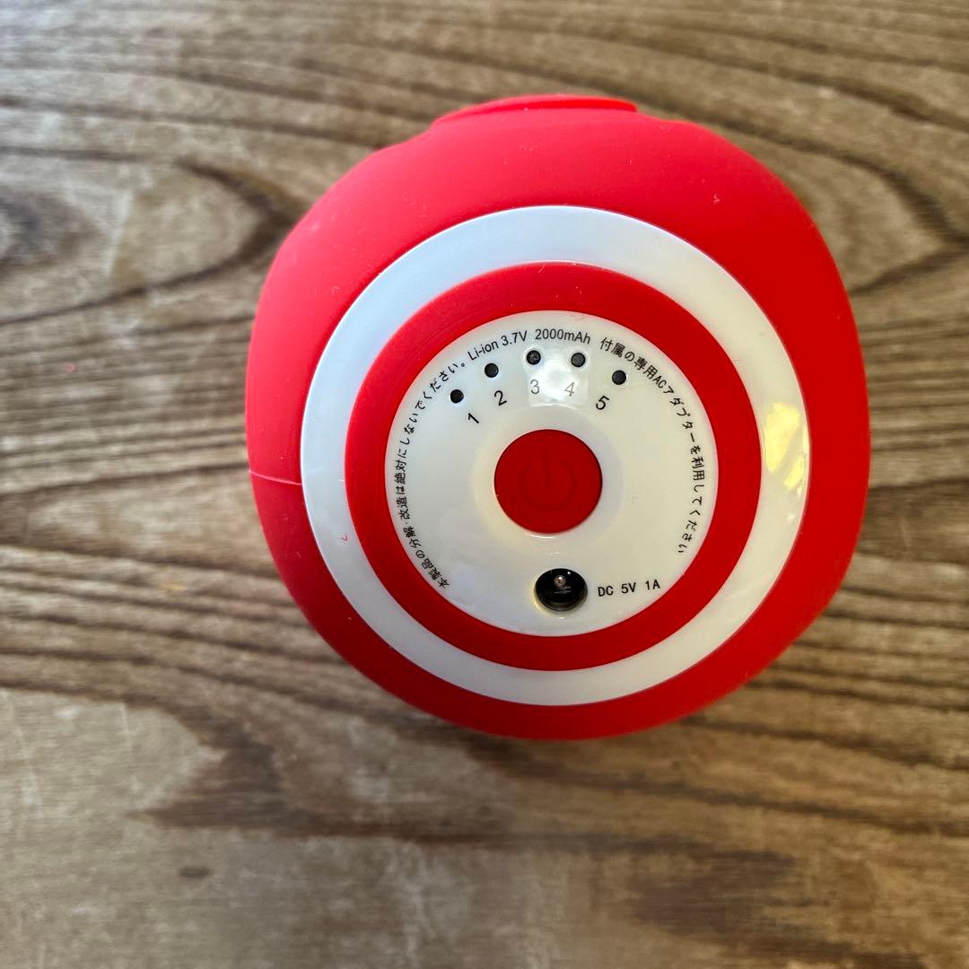 フィットネスクラブがつくった スタイリーボール