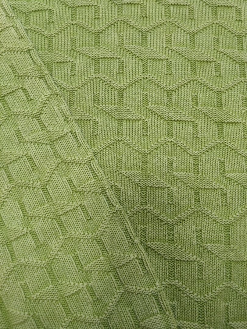 未使用 Ｌ ステューシー STRAND SWEATER セーター ライムグリーン