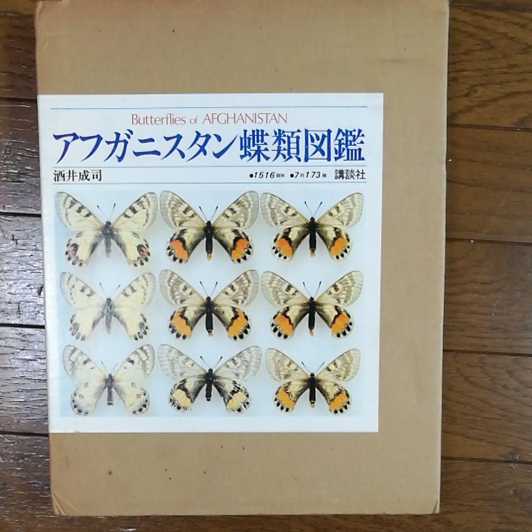 アフガニスタン蝶類図鑑