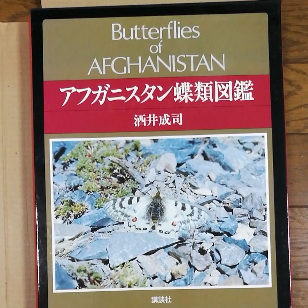 アフガニスタン蝶類図鑑