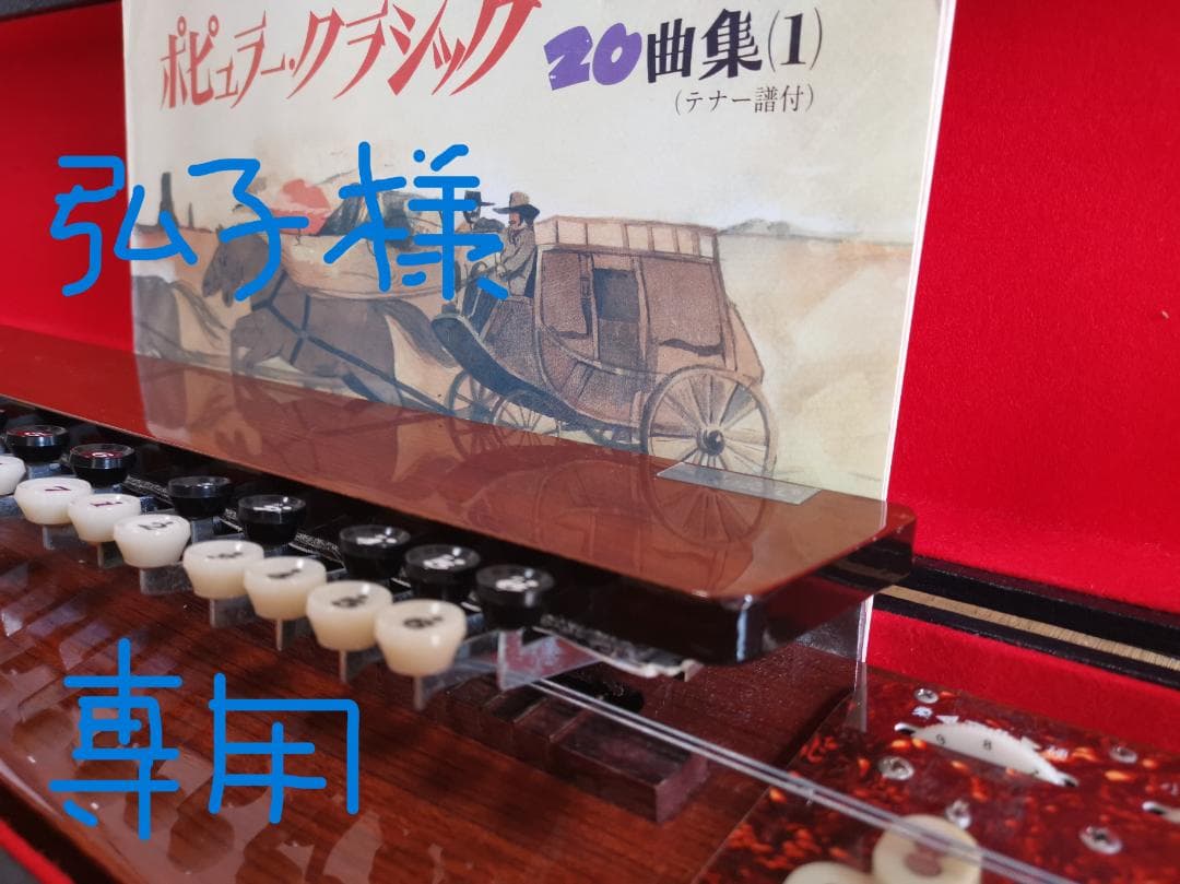 大正琴 琴伝流 テナー かえで ハードケース＋手作りケースカバー＋テナー楽譜付