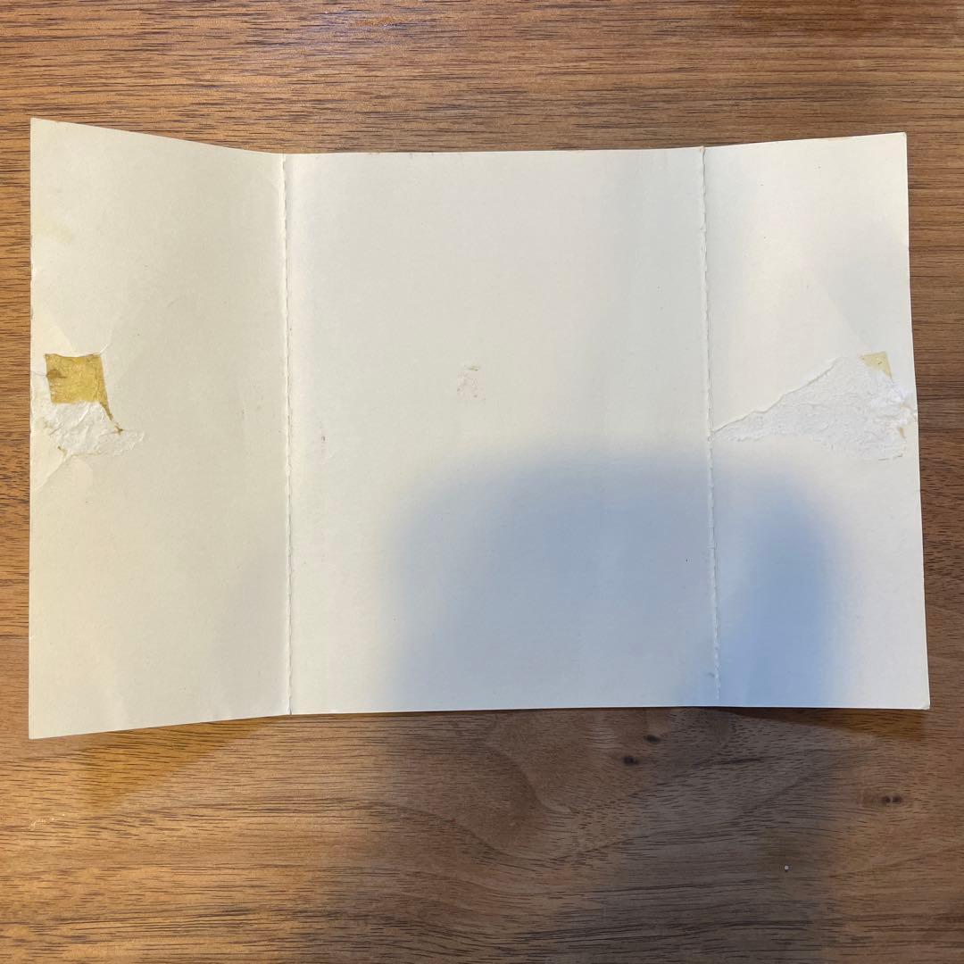 サザンオールスターズ/すいか SOUTHERN ALL STARS SPECI…