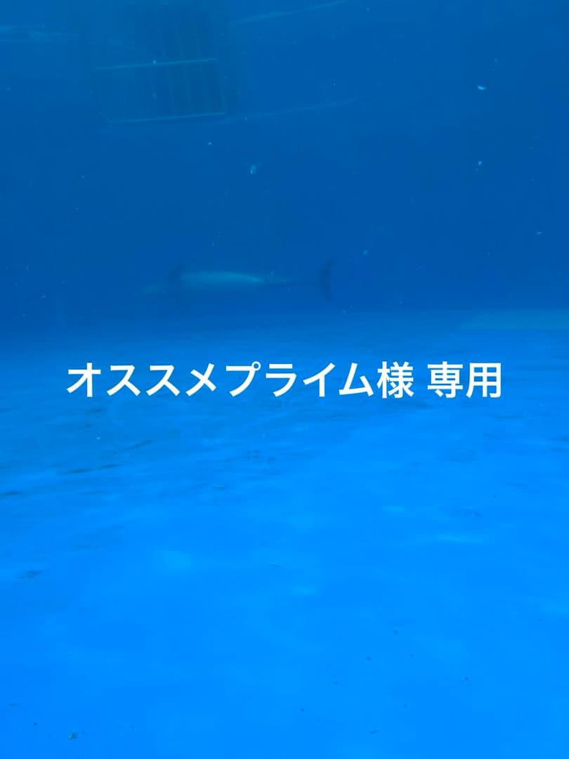 おすすめプライム