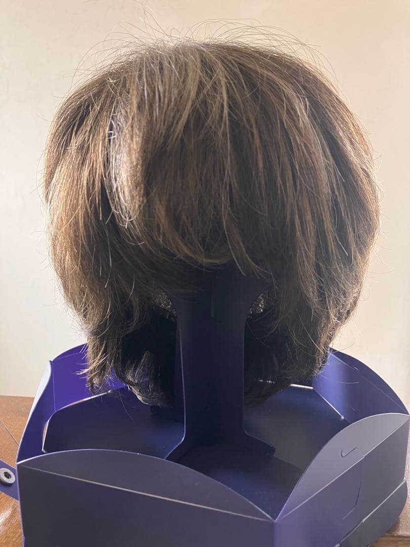 えいこねー　フォンテーヌ　スワニー　フルウィッグ　SGW10 R465