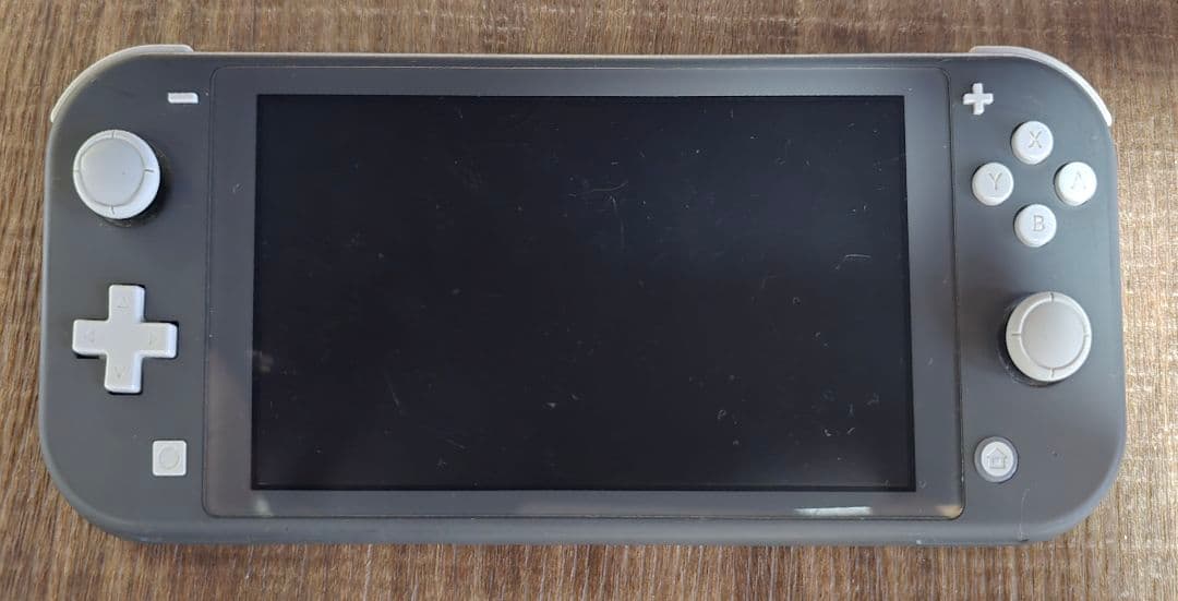 Nintendo Switch Lite 黒いケーブル