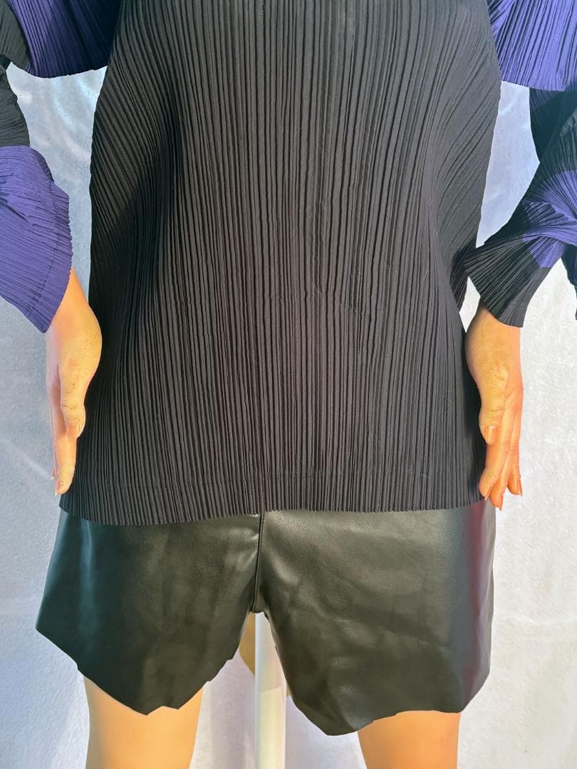 [超希少] ISSEY MIYAKE 平面 二次元 変形 ボーダー入りプリーツ