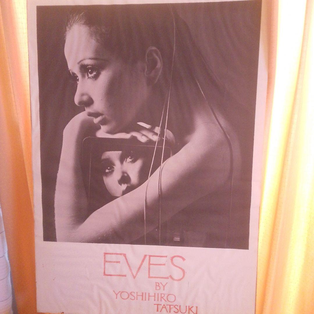 立木ヨシヒロ　大型　ポスター　本土のみ