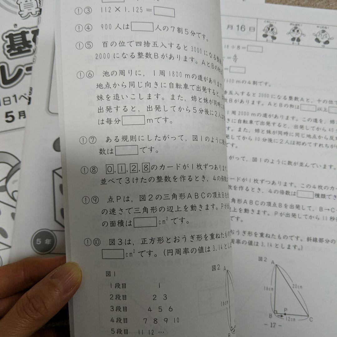 SAPIX5年 基礎力トレーニング 1年分フル2025年度版最新