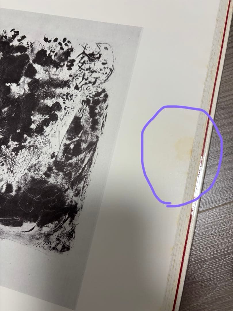 シャガール リトグラフ全集 全5巻