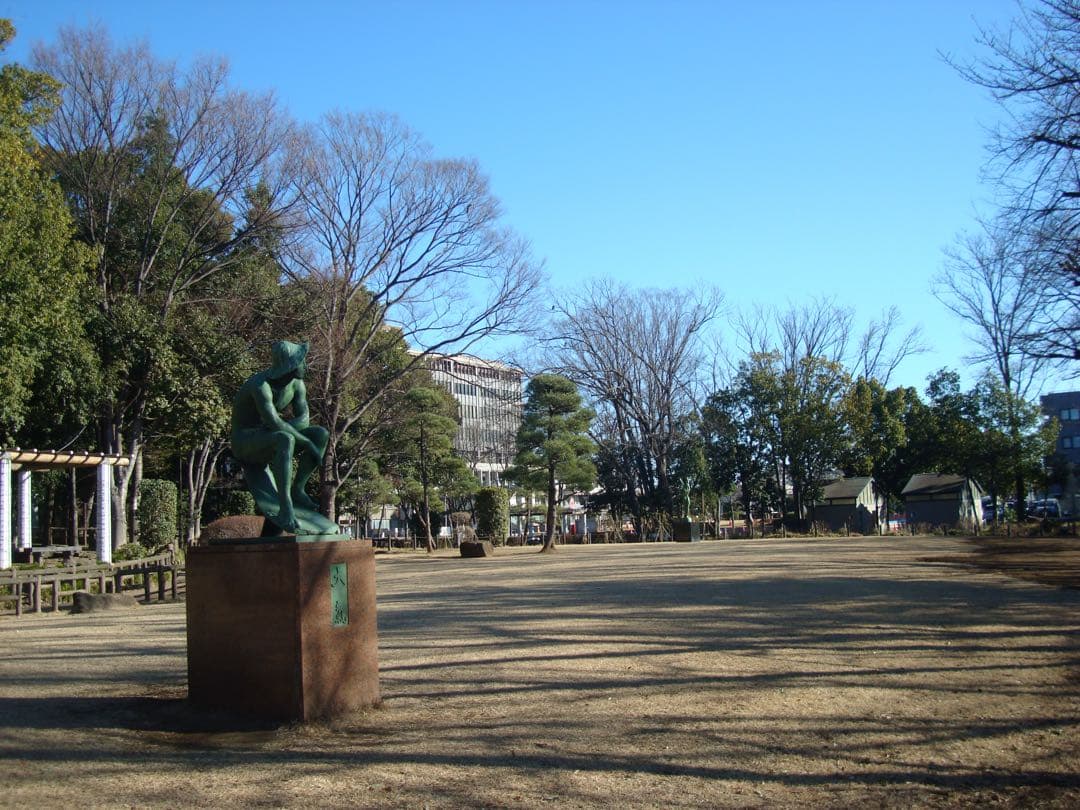 【動作確認済】SONY DSC-W200 サイバーショット デジタルカメラ