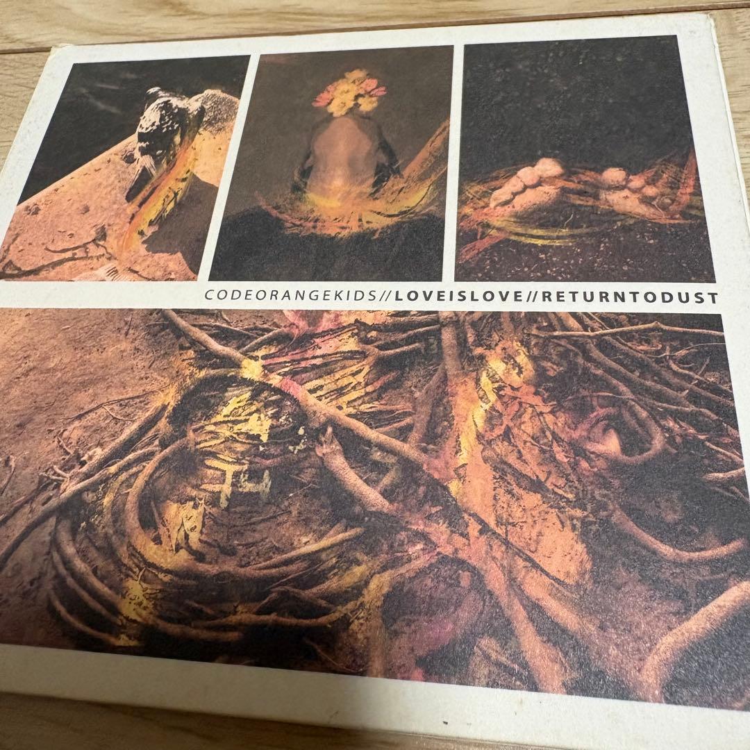 洋楽 Code Orange Kids Love Is Love / Return