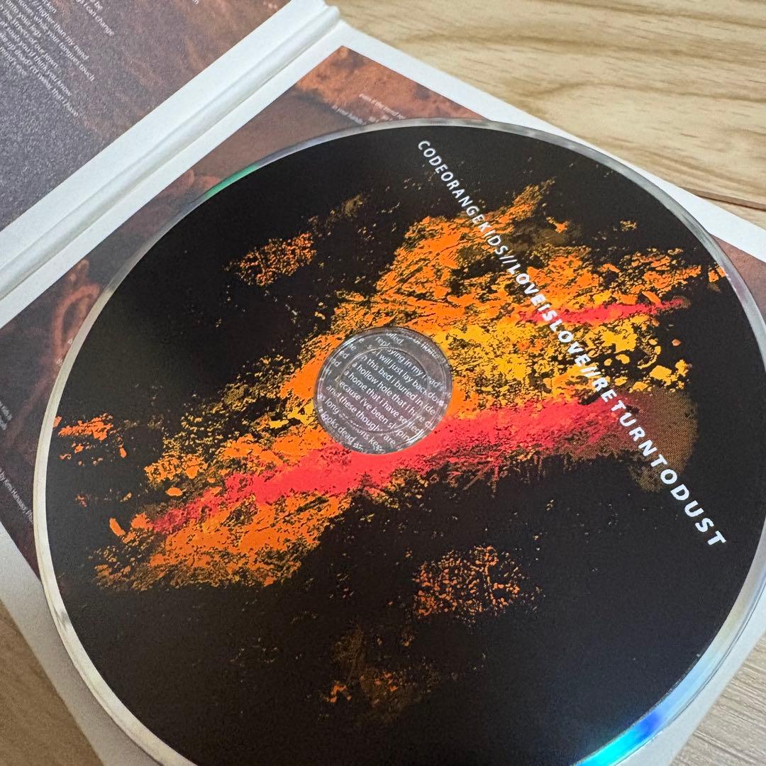 洋楽 Code Orange Kids Love Is Love / Return