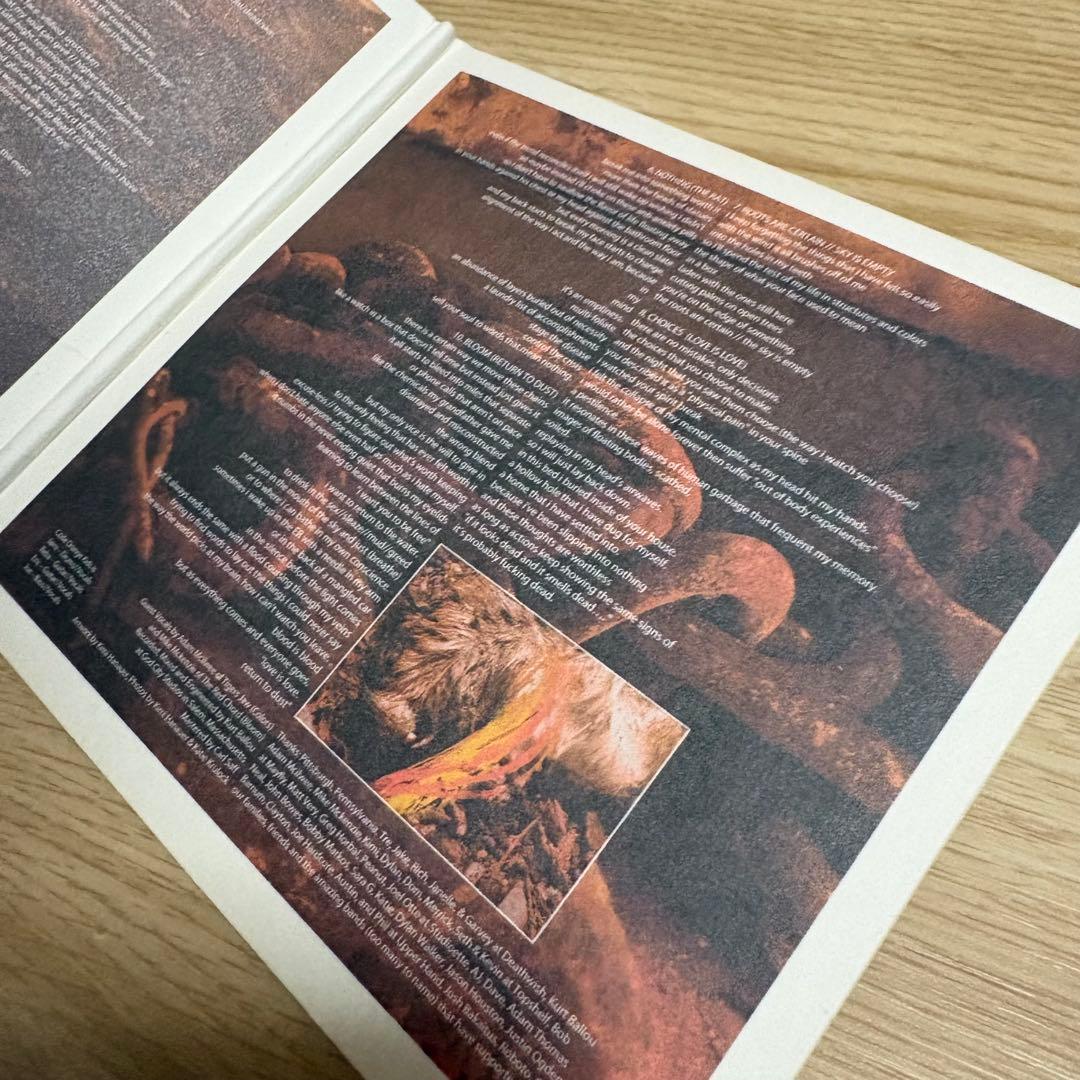 洋楽 Code Orange Kids Love Is Love / Return