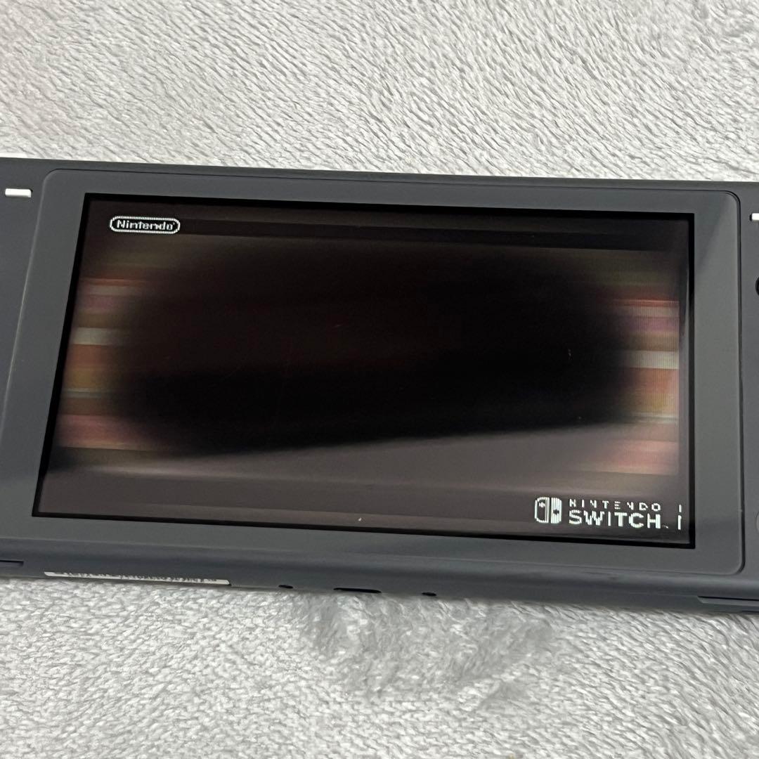 d*3様 【ジャンク】Nintendo Switch Lite グレー 本体のみ