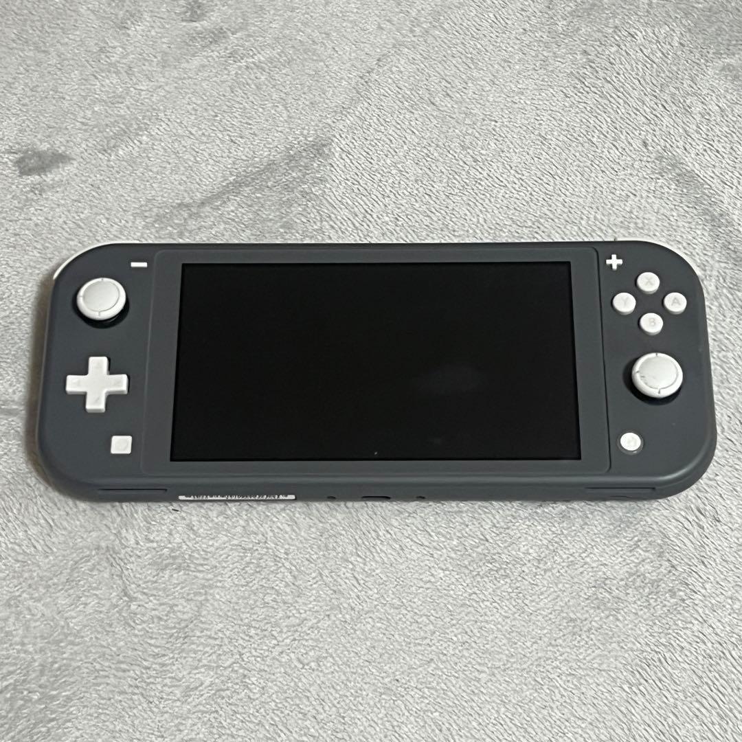 d*3様 【ジャンク】Nintendo Switch Lite グレー 本体のみ