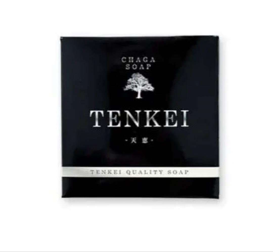 新品　2点セット　天恵ローション &天恵石鹸