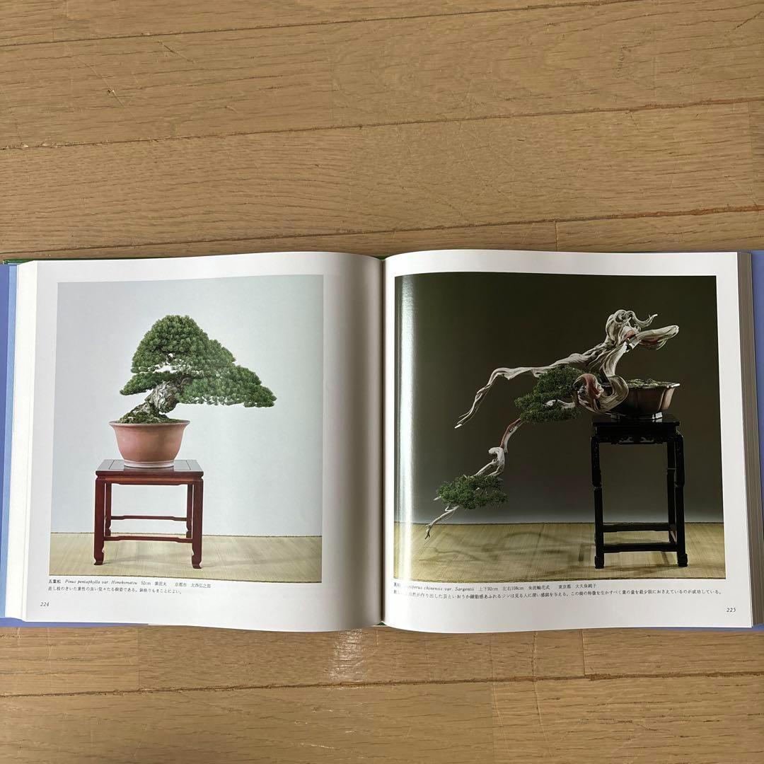 国風盆栽展 第58回〜第75回 (第74回は中抜け) 計17冊