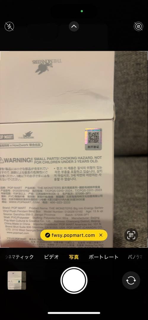 【新品】LABUBU Big into Energy シークレット　正規品ラブブ