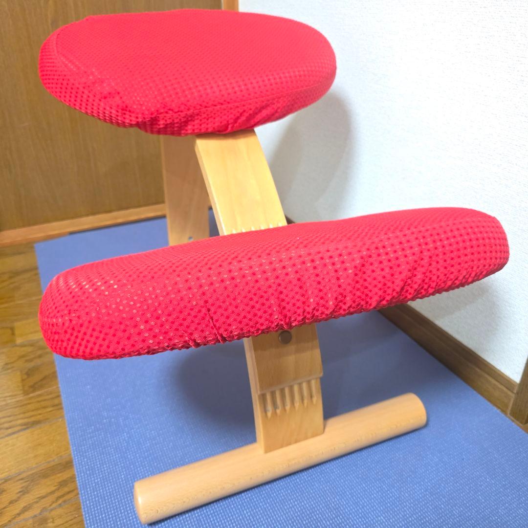 270】Rybo リボ社 Balans Easy バランスイージー カバー付