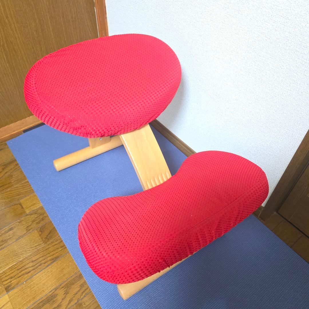 270】Rybo リボ社 Balans Easy バランスイージー カバー付