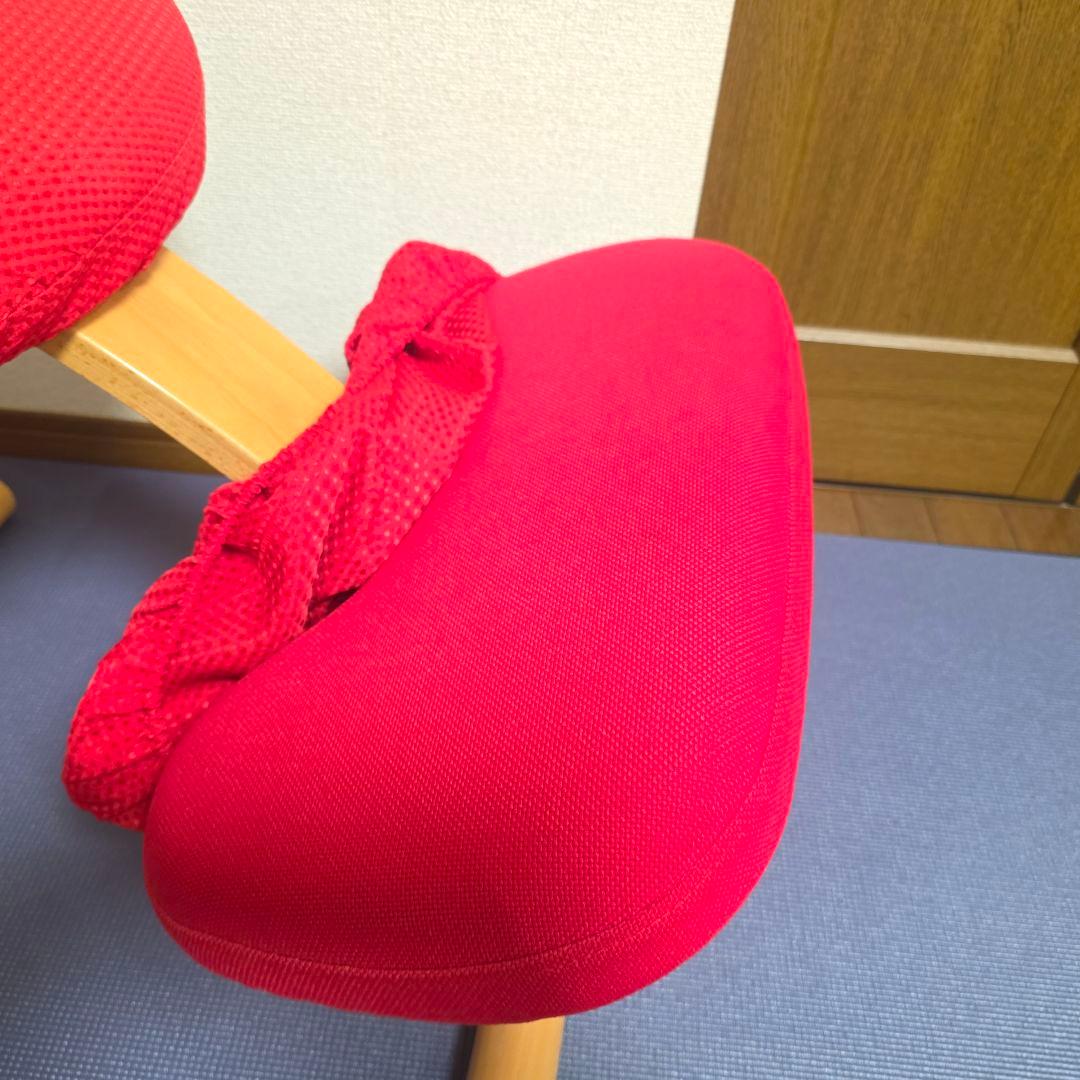 270】Rybo リボ社 Balans Easy バランスイージー カバー付