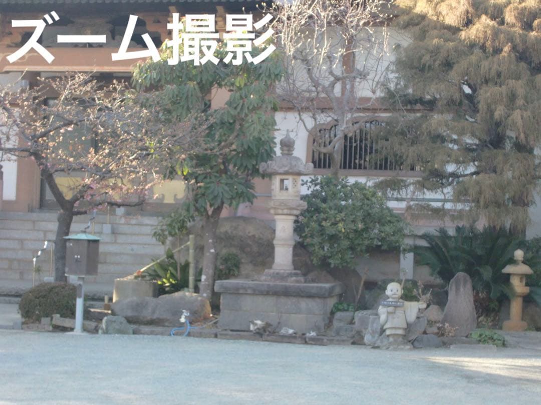 追加あり⭕️【動作確認済み】CASIO EXILIM デジカメ EX-Z300