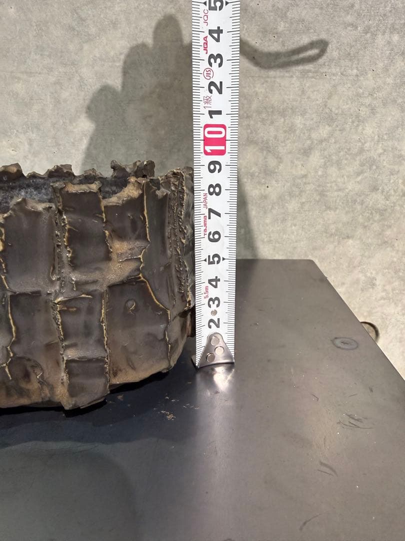 RAW LIFE FACTORY 検) y鉢 細川政己 パキプス グラキリス