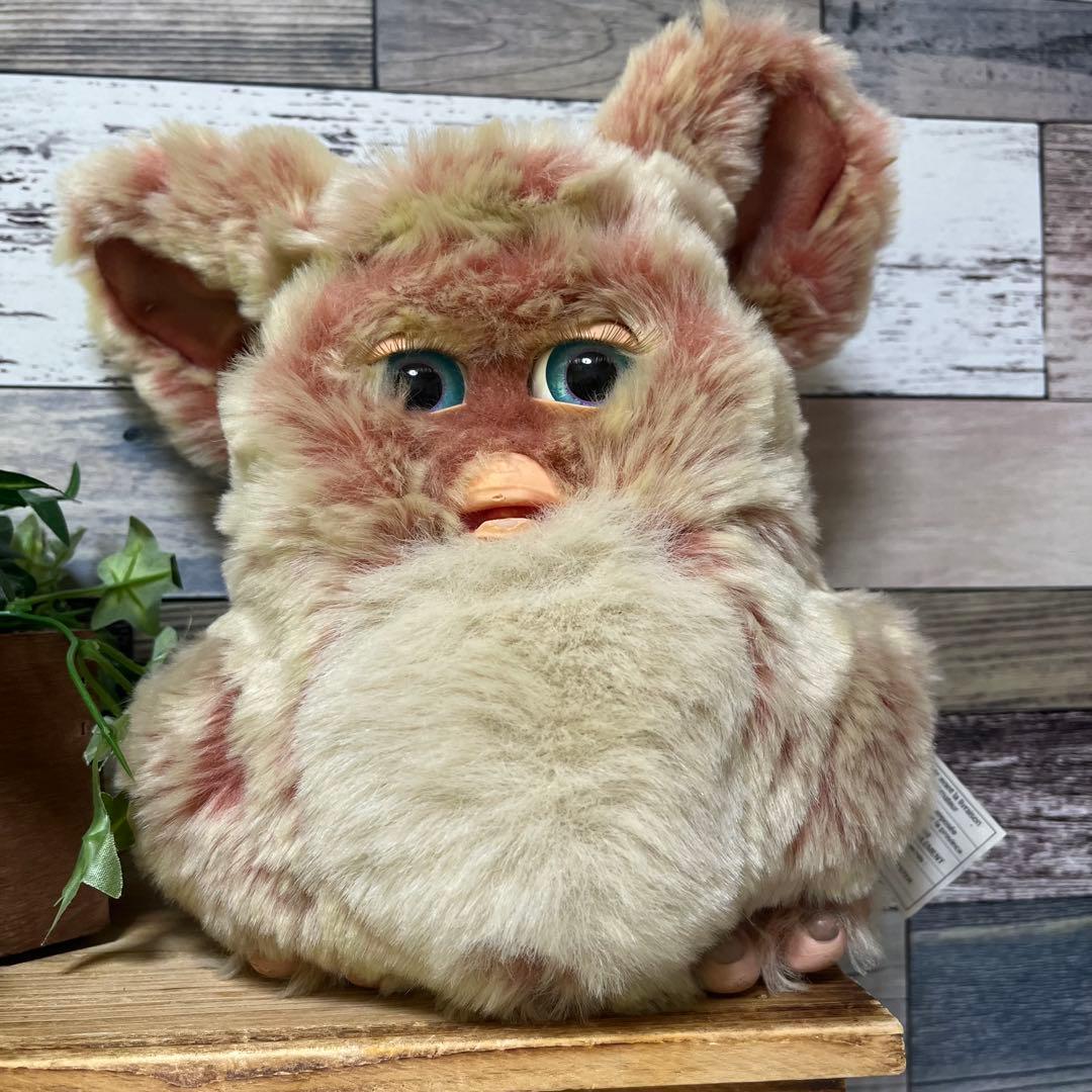 ファービー2　クランベリークッキー　青目　英語版 furby2 #13