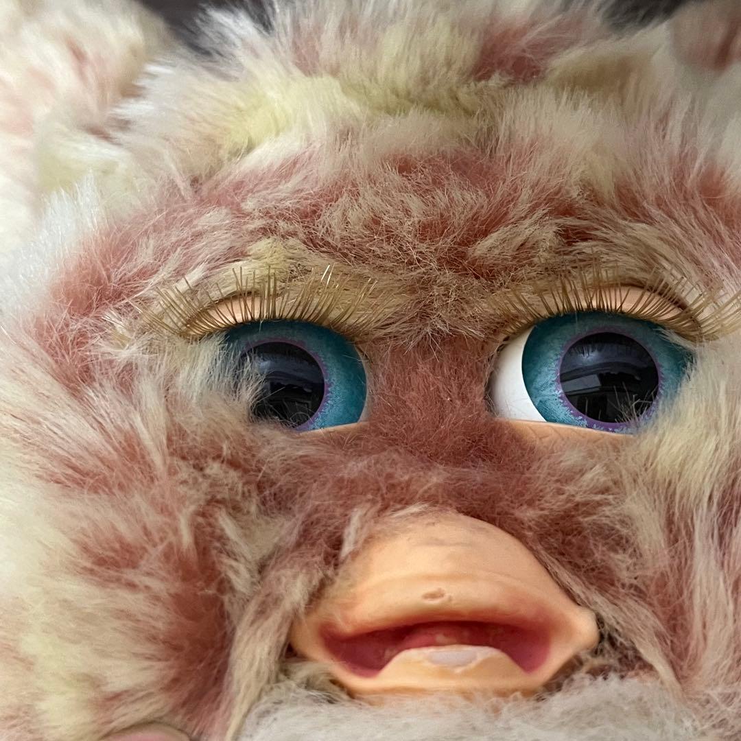 ファービー2　クランベリークッキー　青目　英語版 furby2 #13