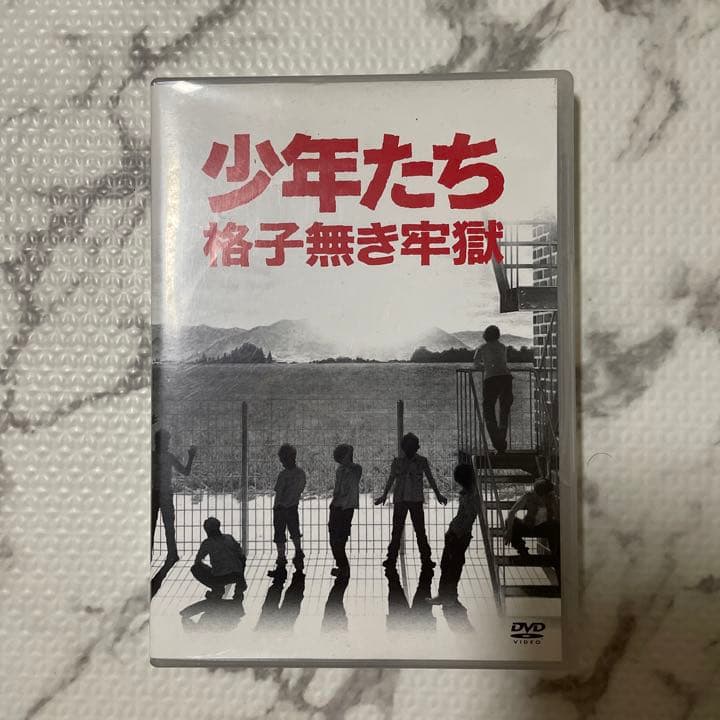 少年たち 格子無き牢獄