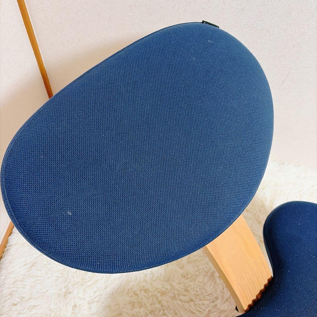 Rybo バランスイージー バランスチェア サカモトハウス 通常フレーム